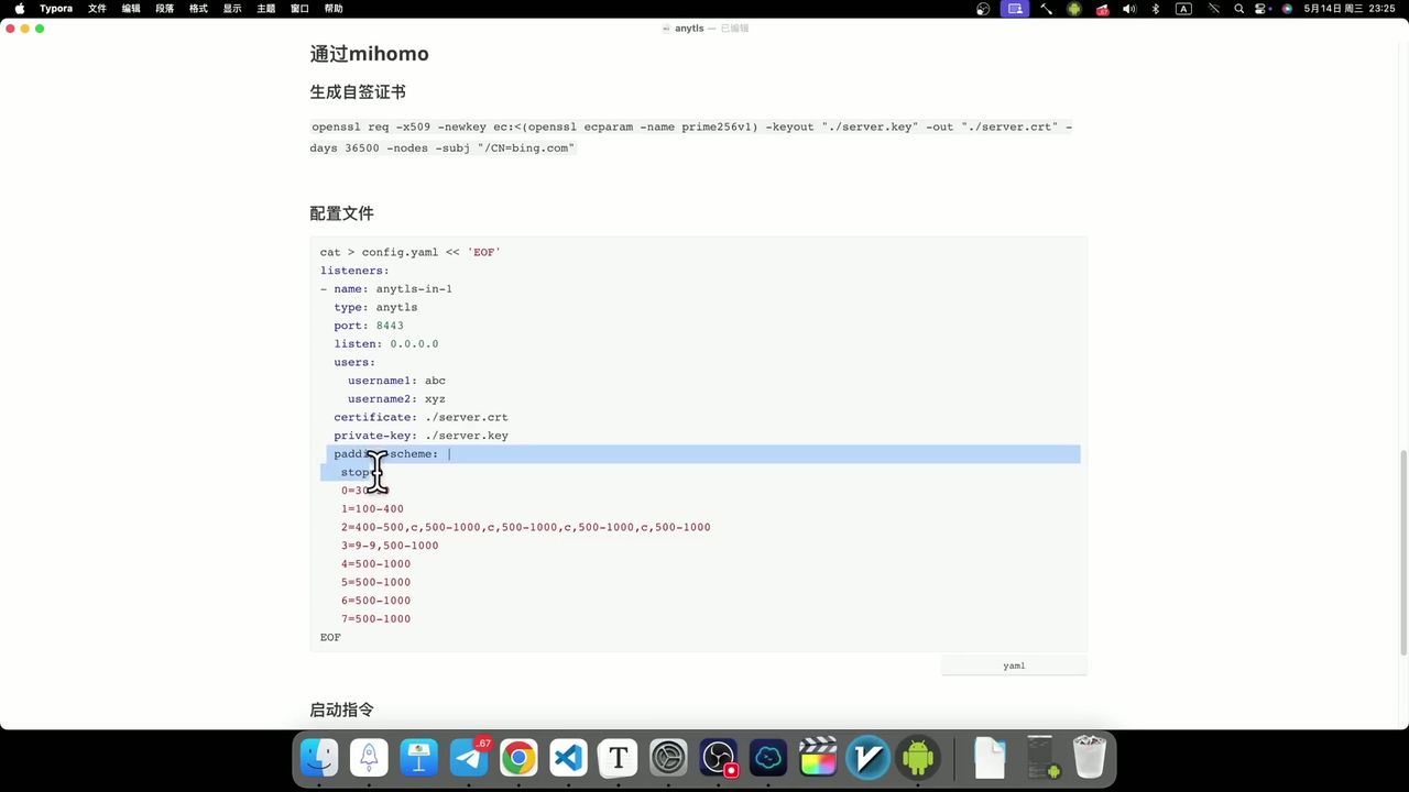 Mihomo 配置文件中的 Padding 设置细节