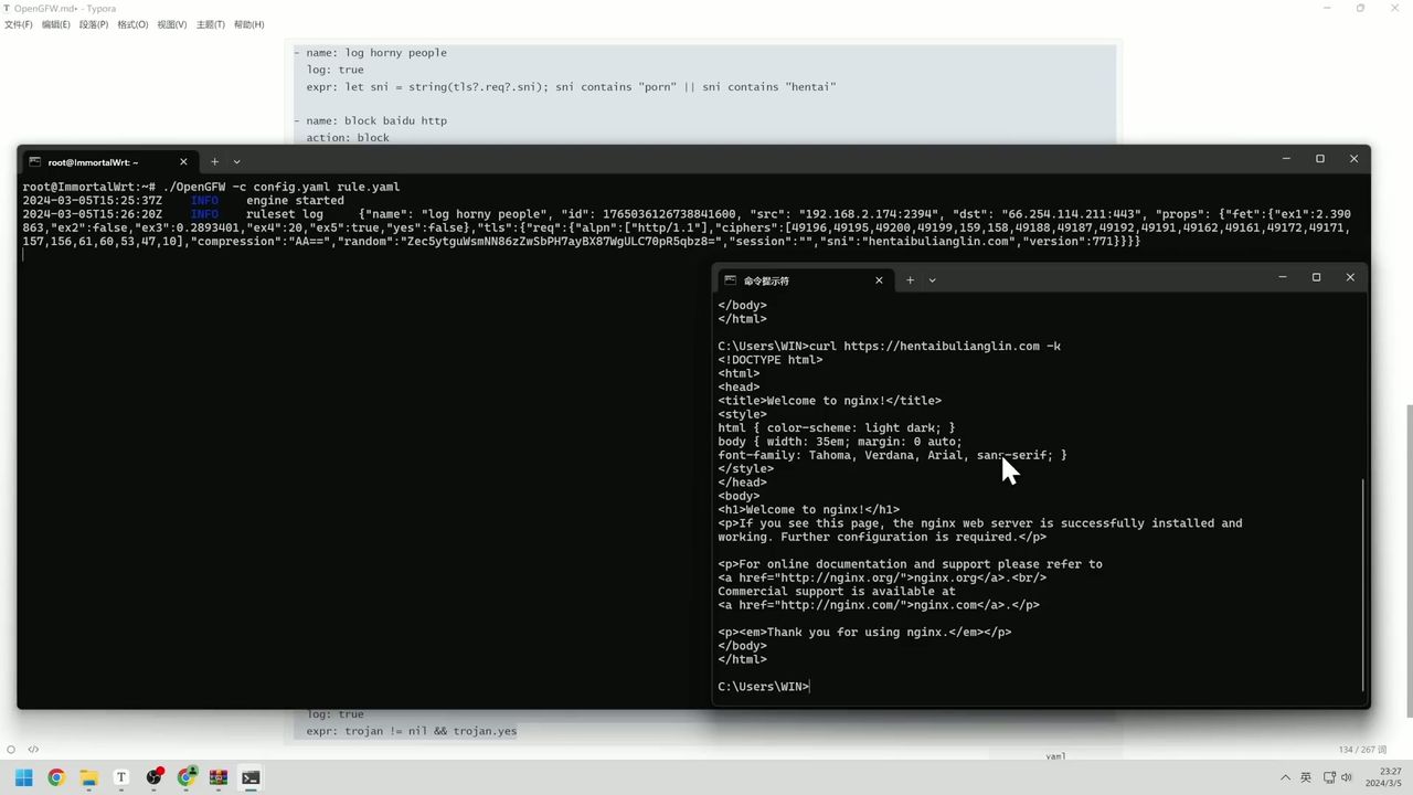 实时流量分析日志输出