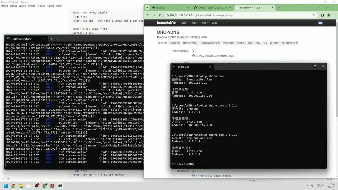 DNS 查询结果展示