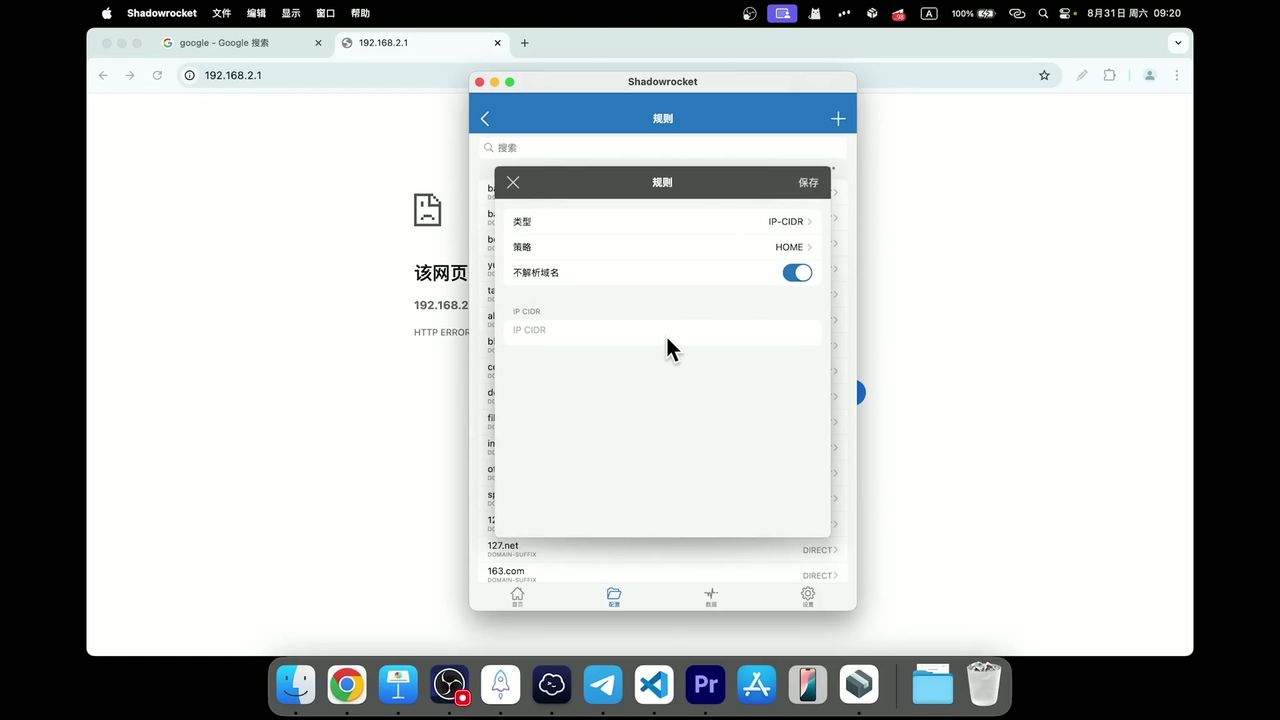 移动端 IP-CIDR 规则配置