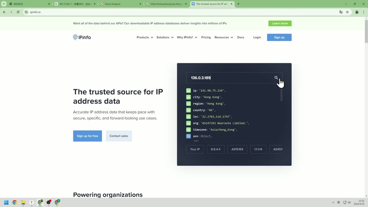 IP 类型查询结果界面